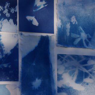 Atelier cyanographie « Les herbiers imaginaires » 20€